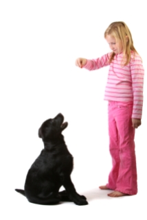 girl training her dog